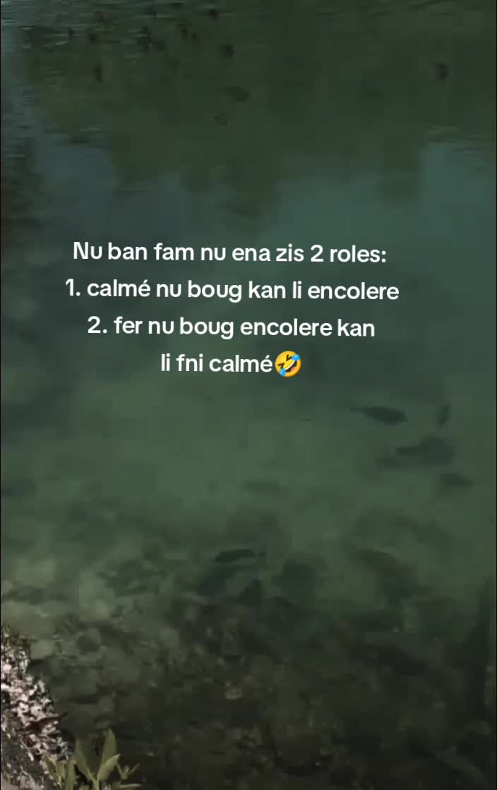 @🤍 🐼