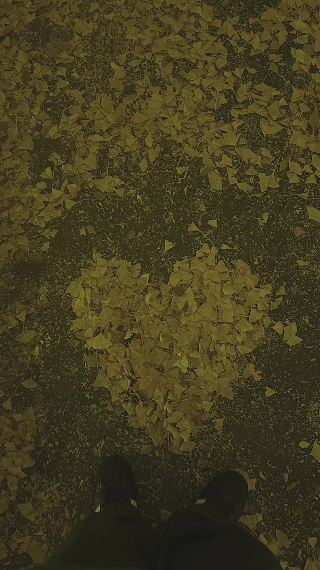 @Panak_YUYU🦀