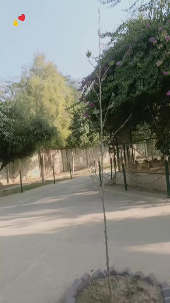 @✌🦅Munsif_bacha__1❤😮