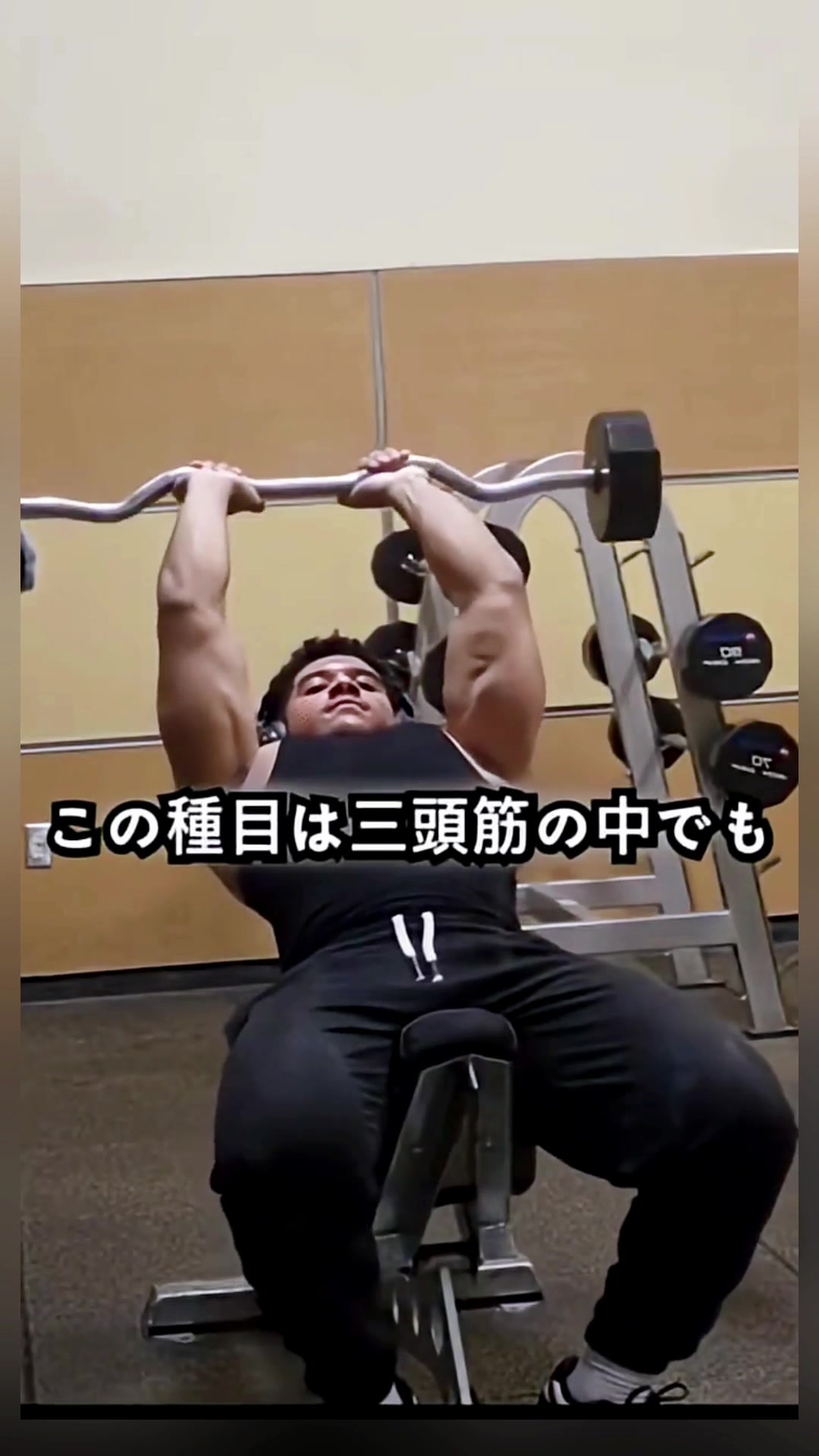 @猫森