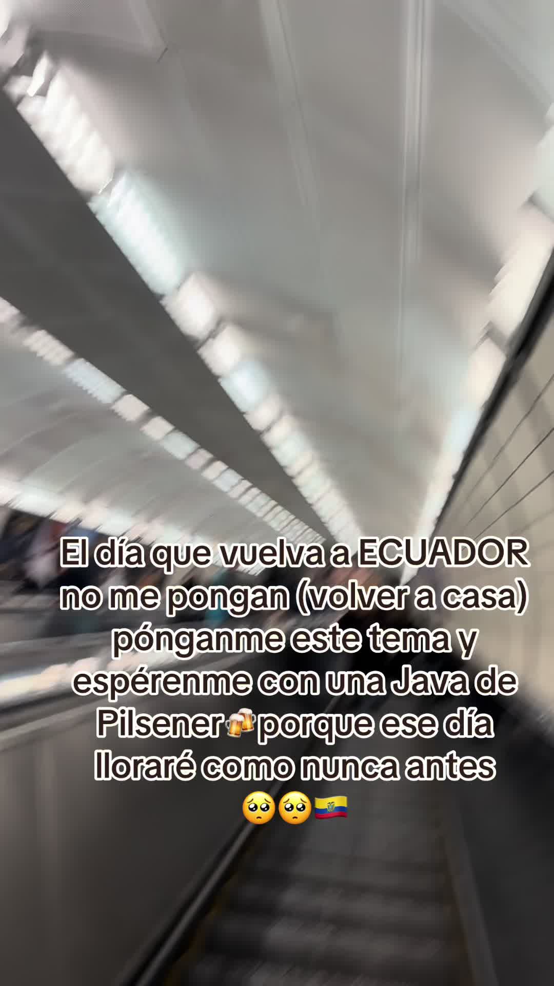 @anilu