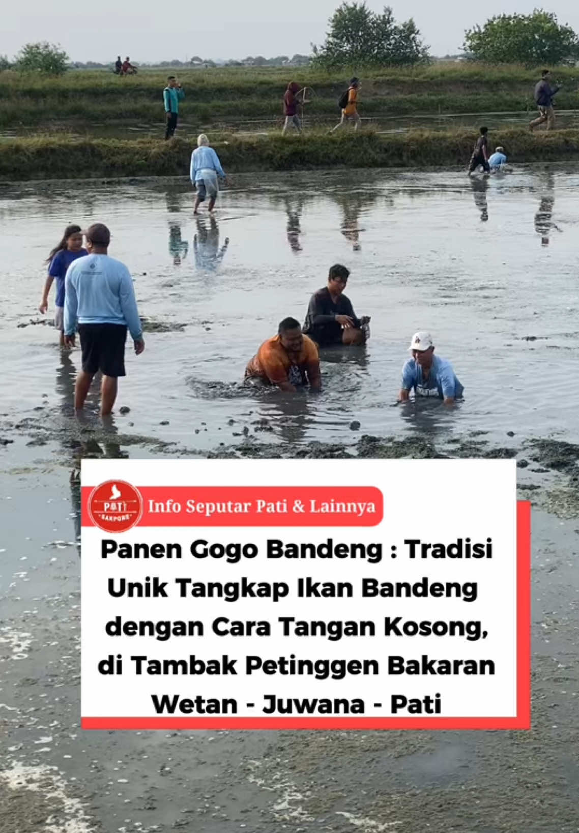 @INFO SEPUTAR PATI