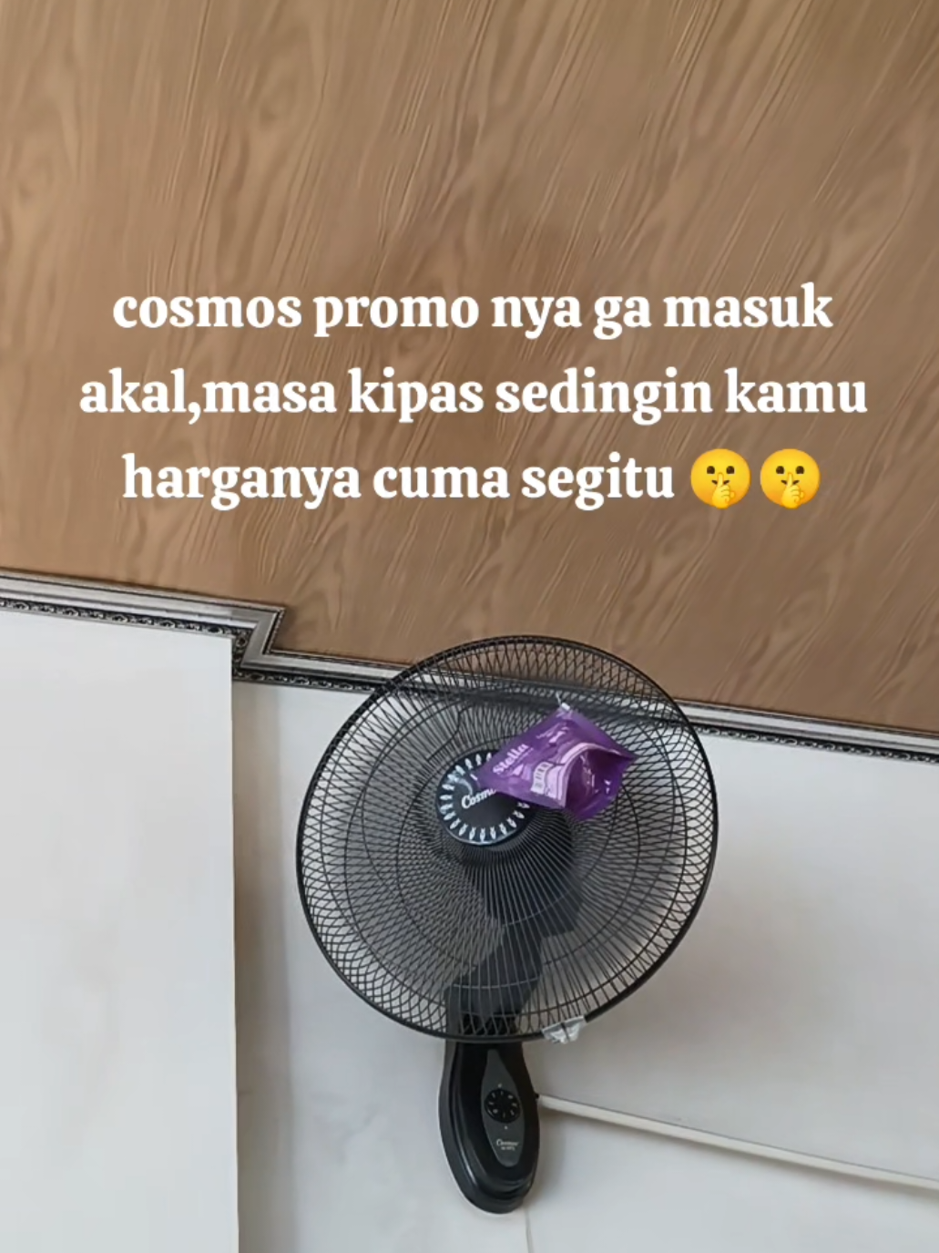@zDn.Store