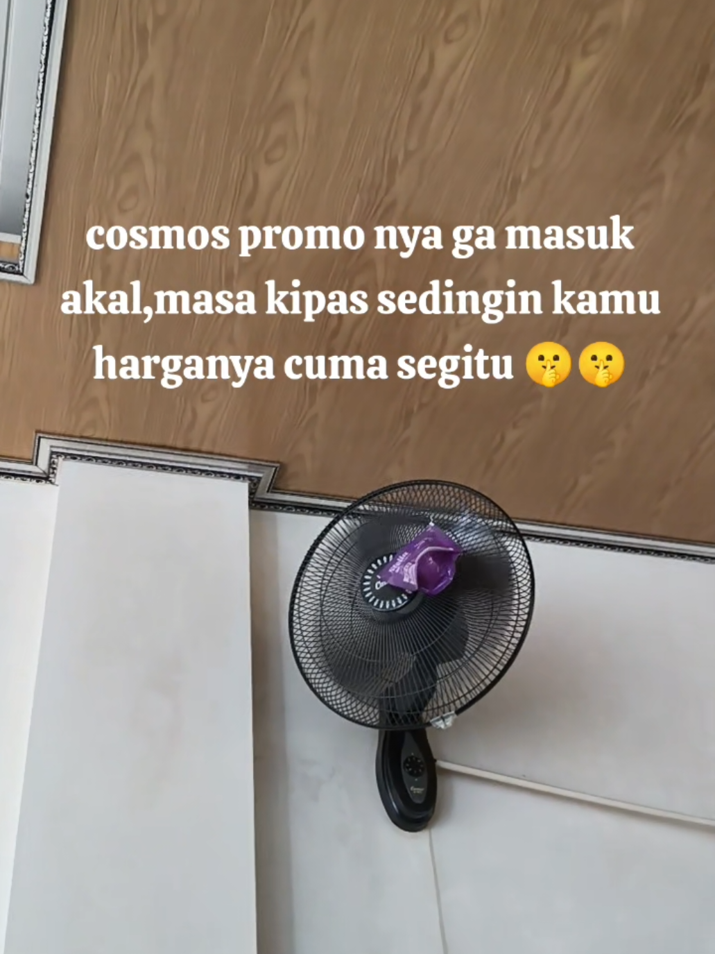 @zDn.Store