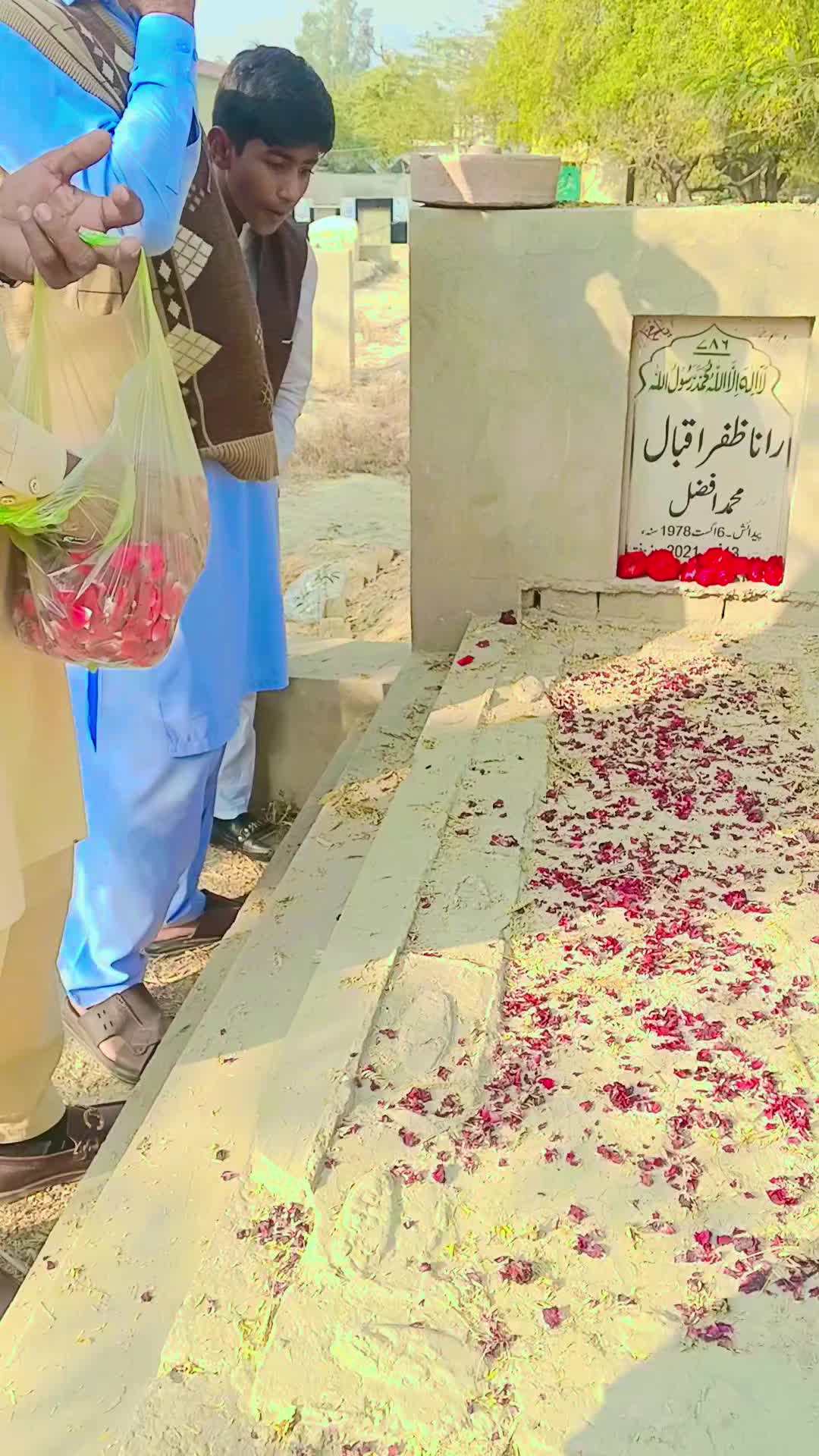 @Safdar Ali