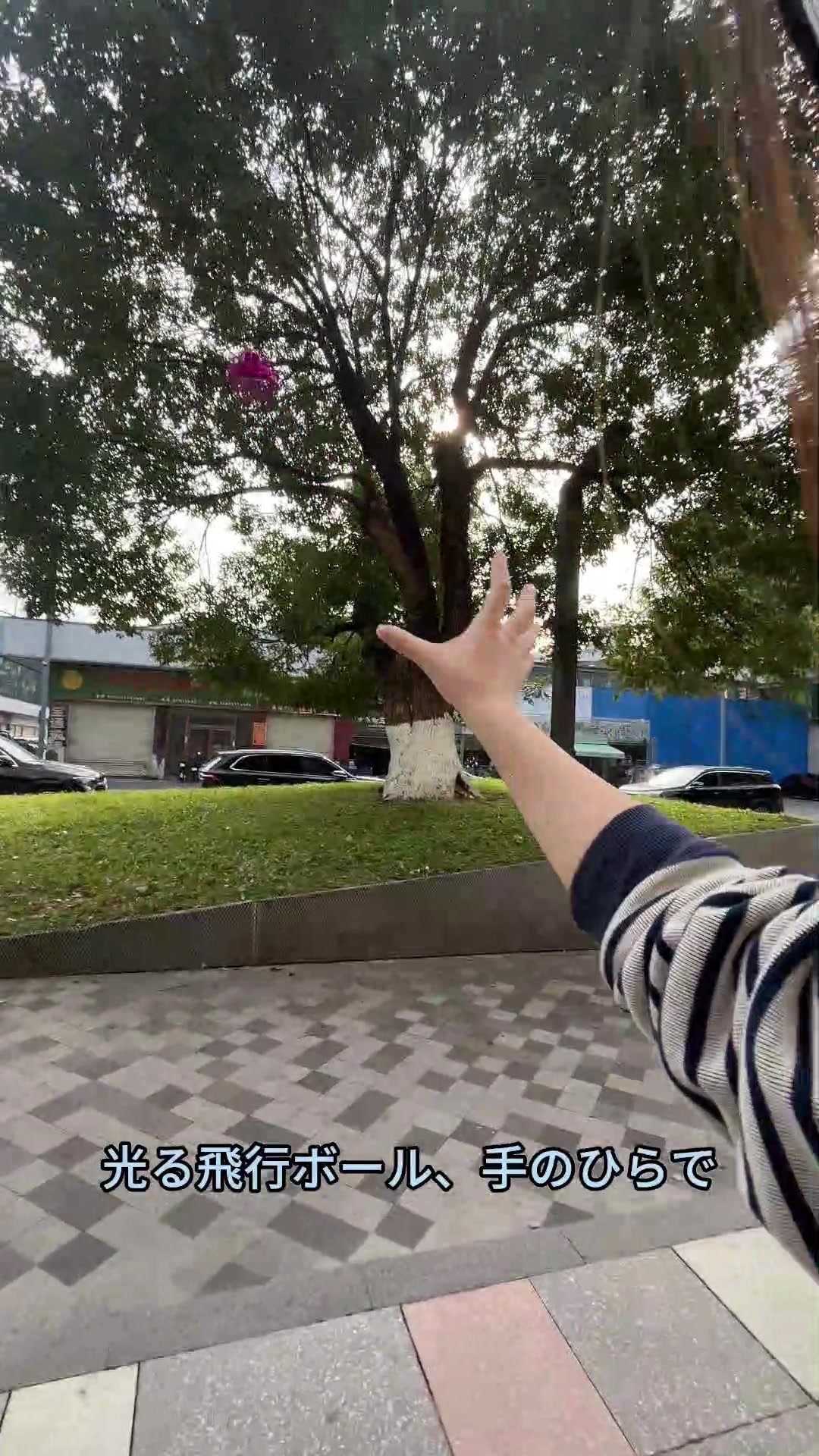 @Tiktoyss0