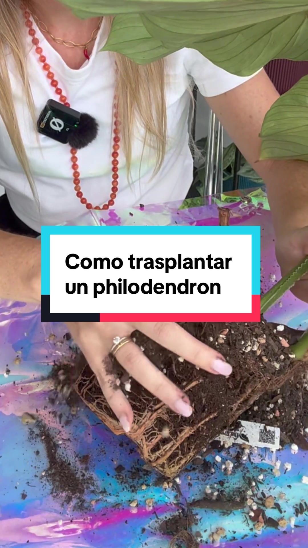 @🌱 En Abril Hojas Mil 🌱