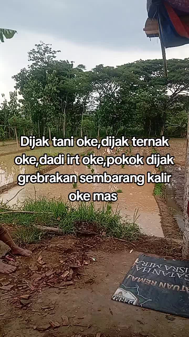 @Diyann