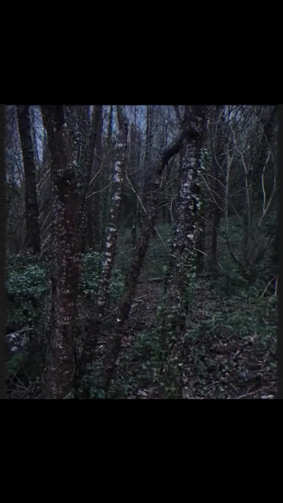 @CreepyStates