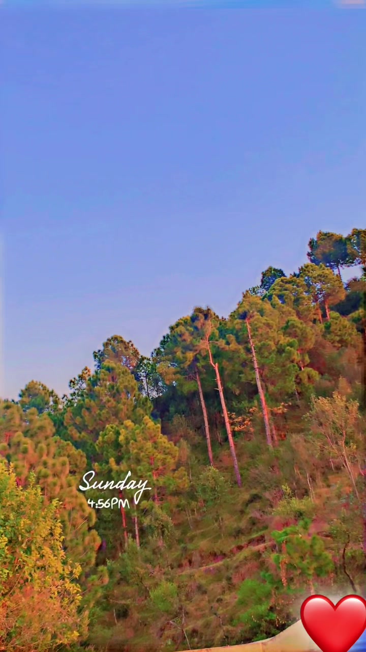 @❣️ Kashmiri ❣️