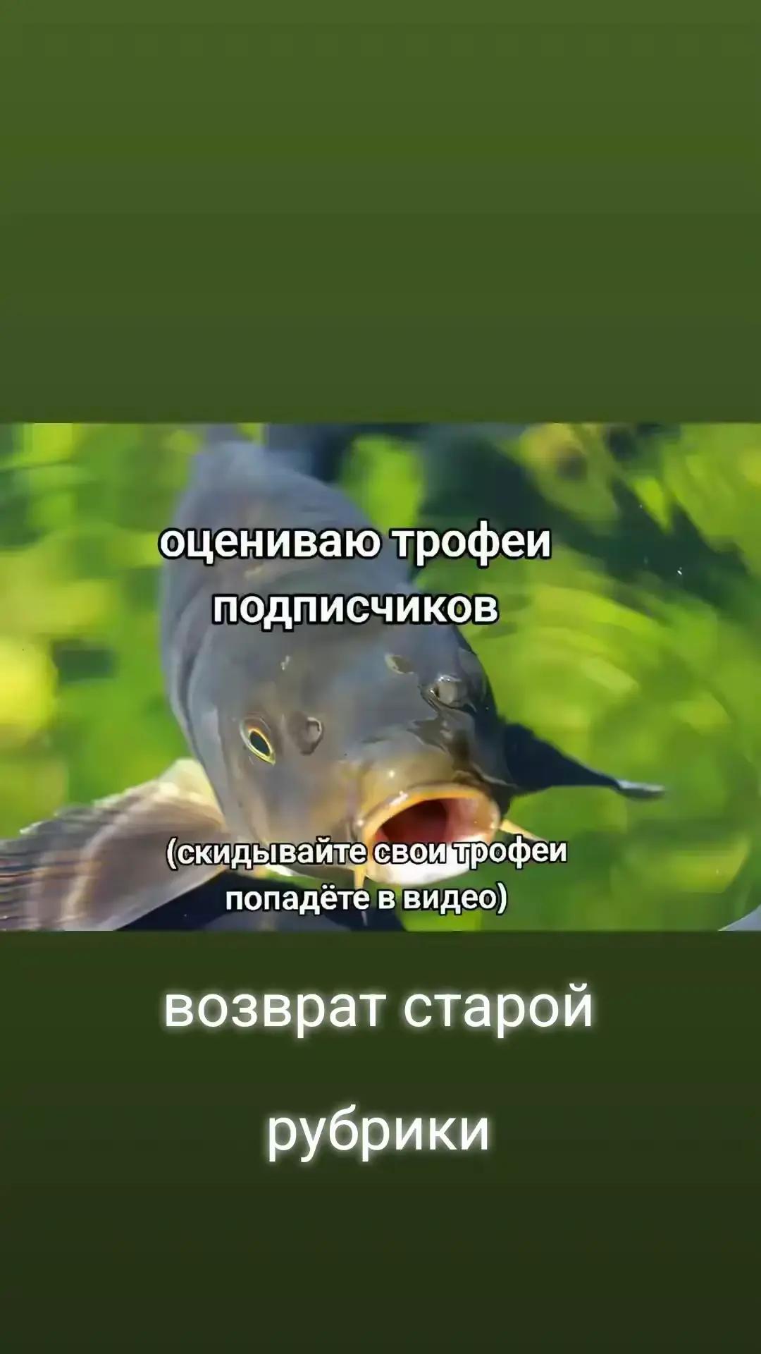 @🎣Рыбалка и многое другое🎣