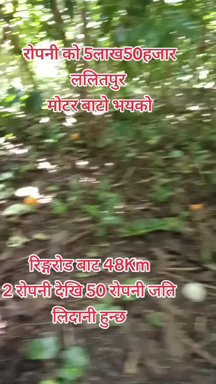 @9818769855