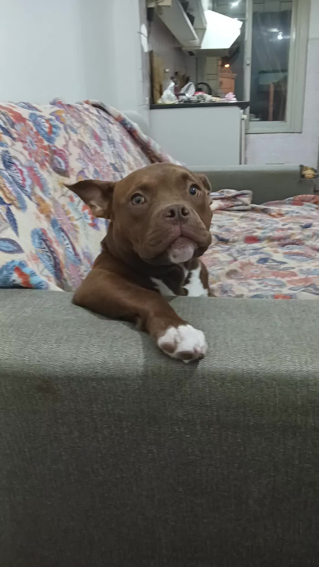 @Pri Bustos