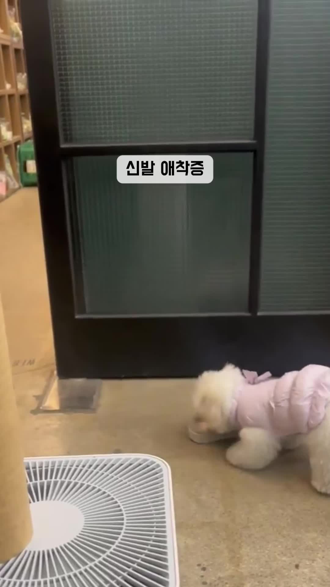 @꼬똥로리