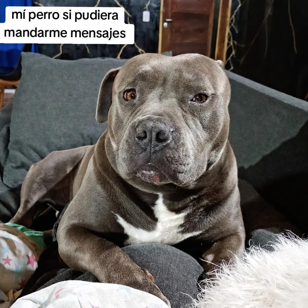 @Maira Pinto
