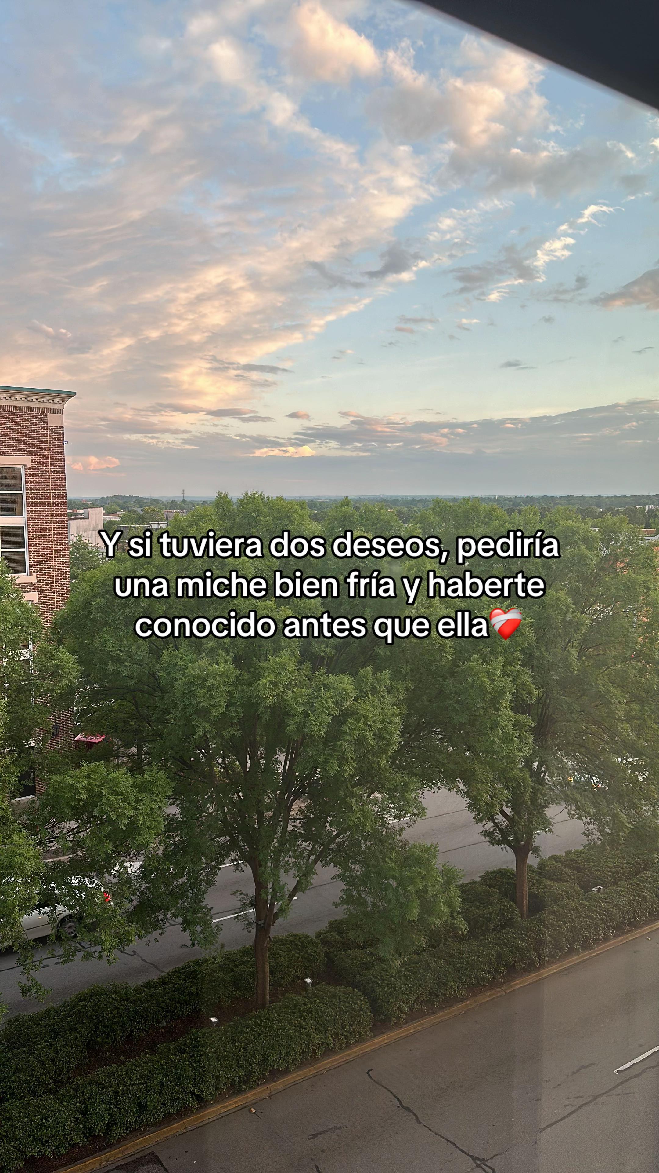 @Fer'liia Zarcruuz