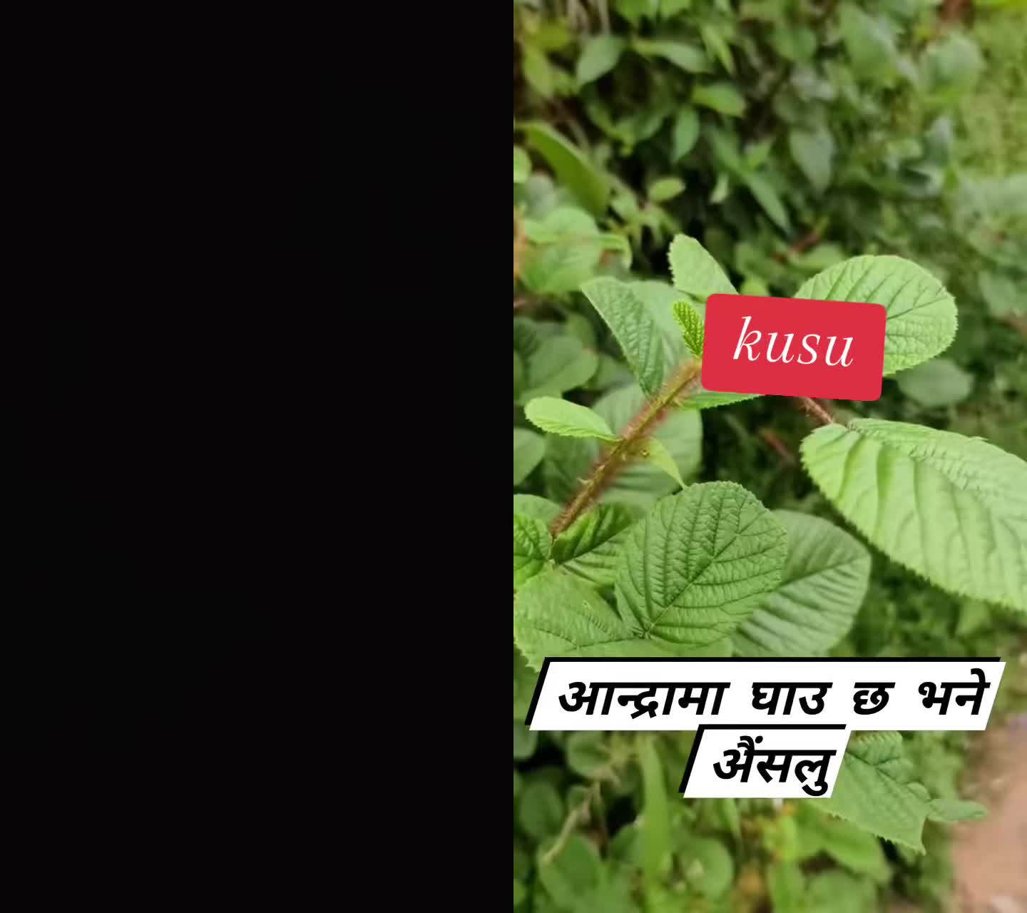 @Mardhan Malla
