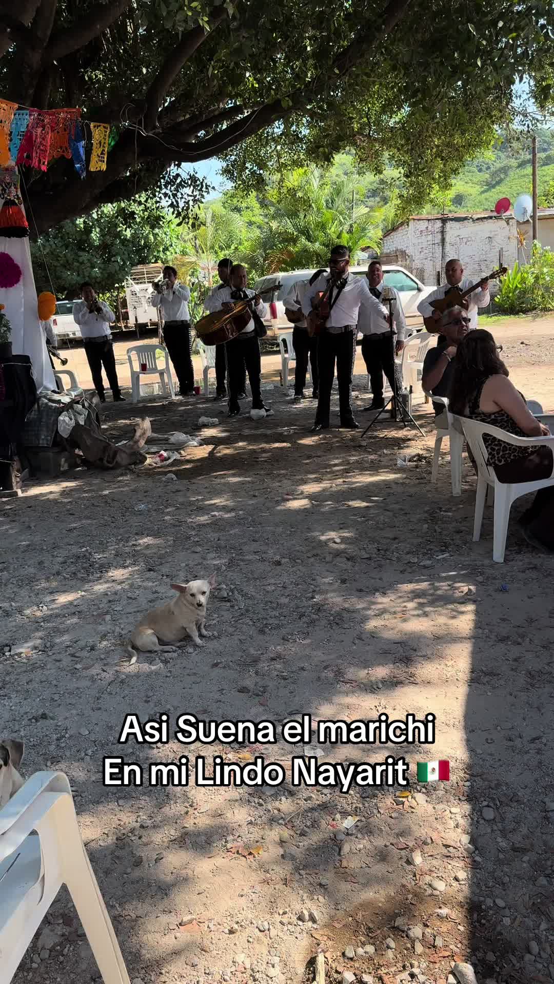 @Abel_lopez