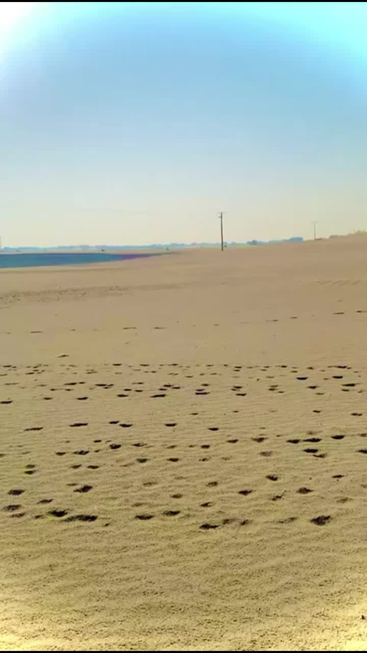 @Imranmerani66