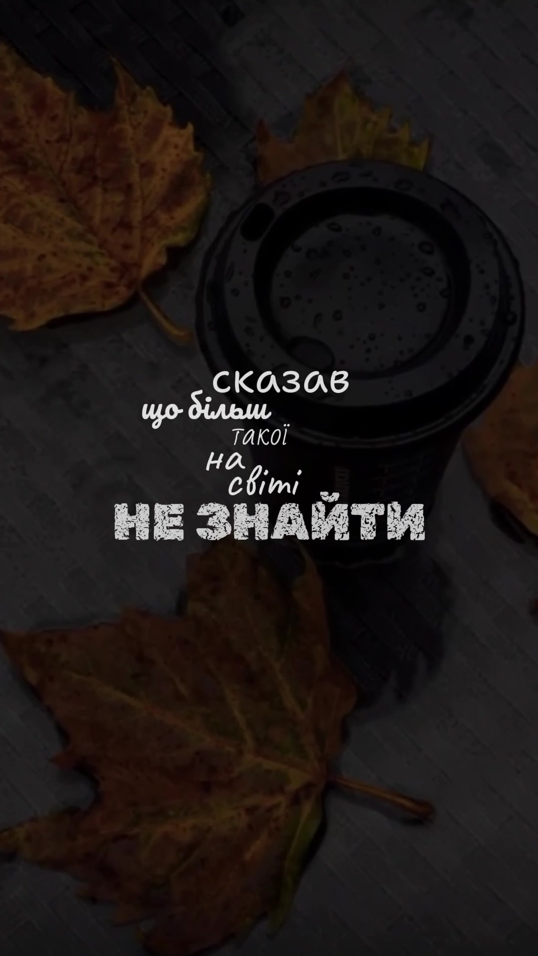 @music.paradise.ua