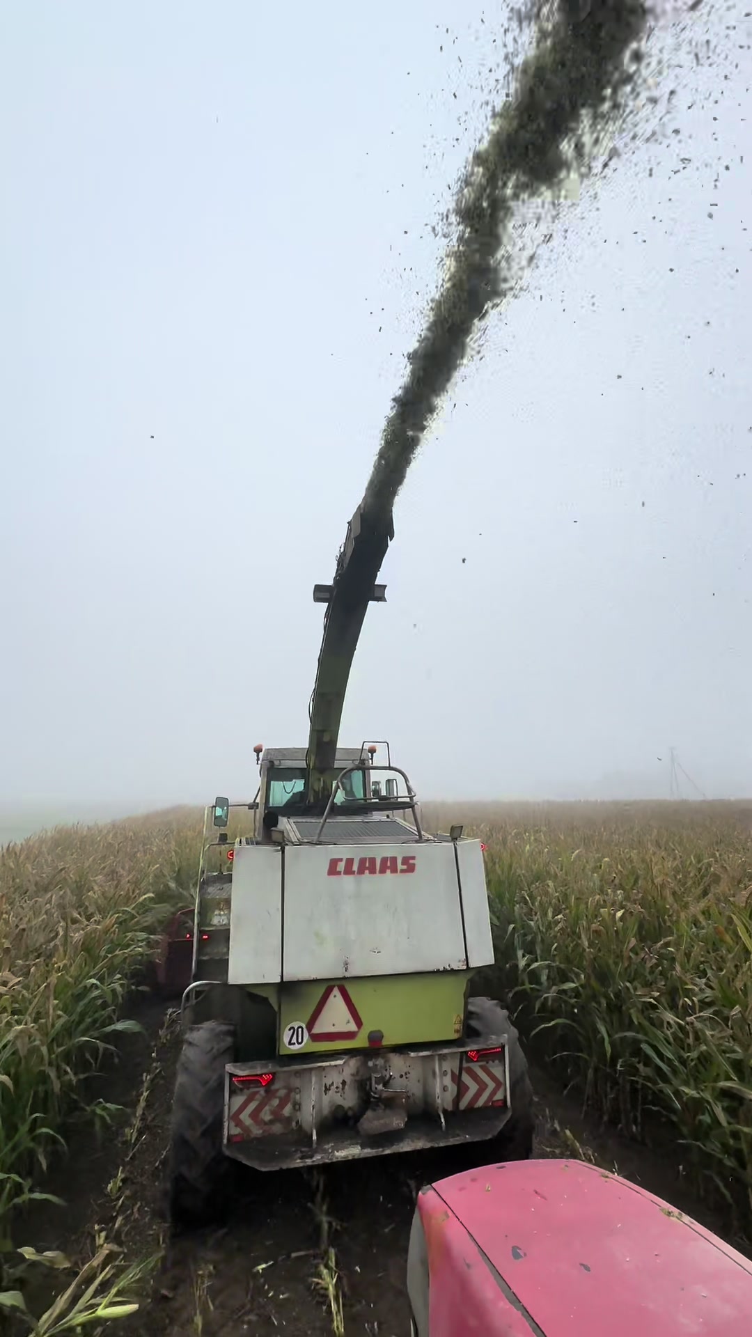 @Ćwikła agro
