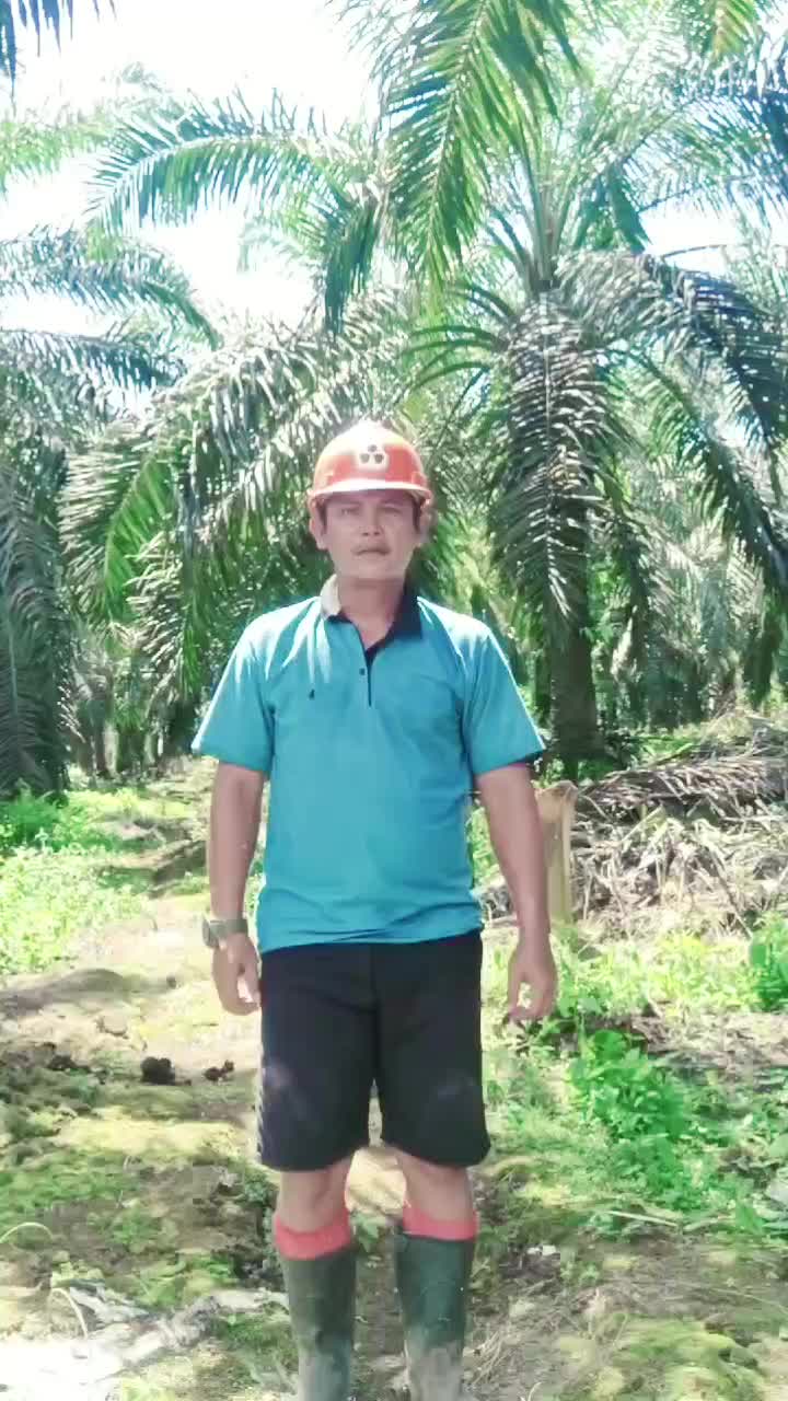 @rajali_aciel