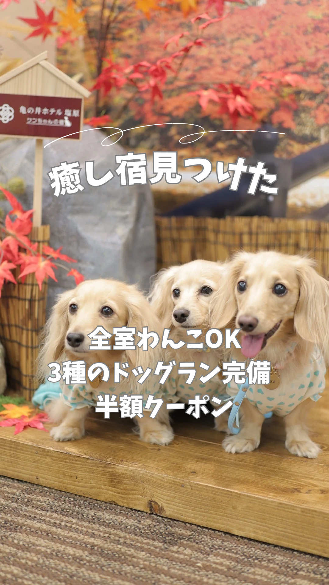 @🎀もあらなまぅ🎀