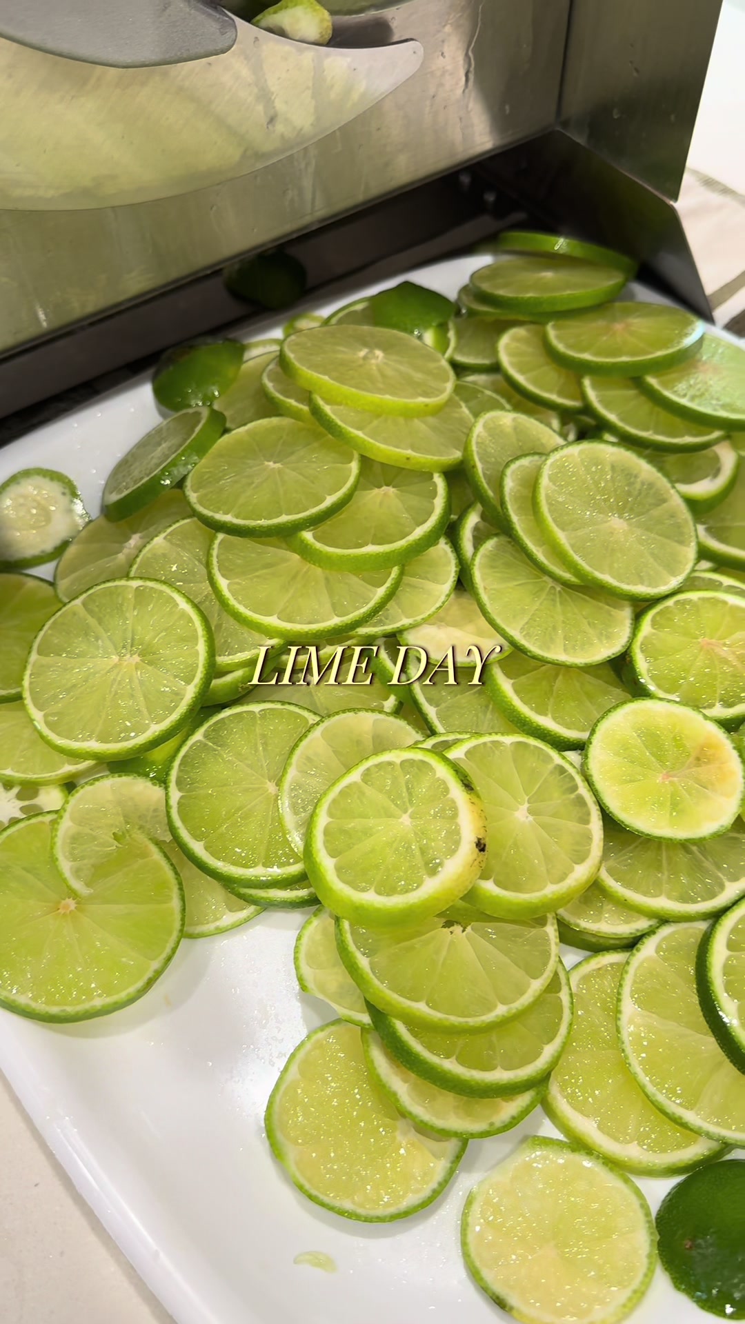 @Citrus Huis
