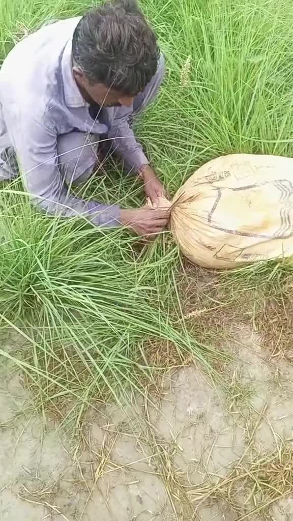 @Abdullah khan