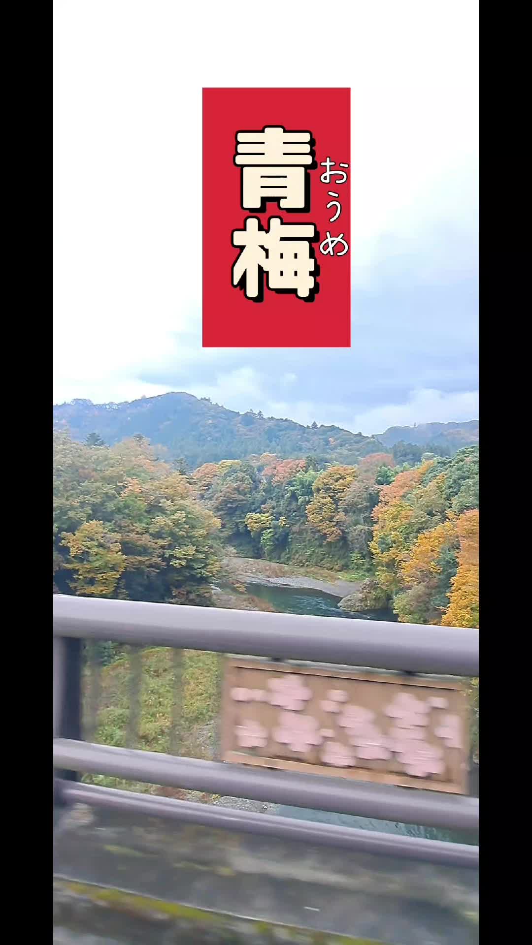 @⭐はむはむ⭐