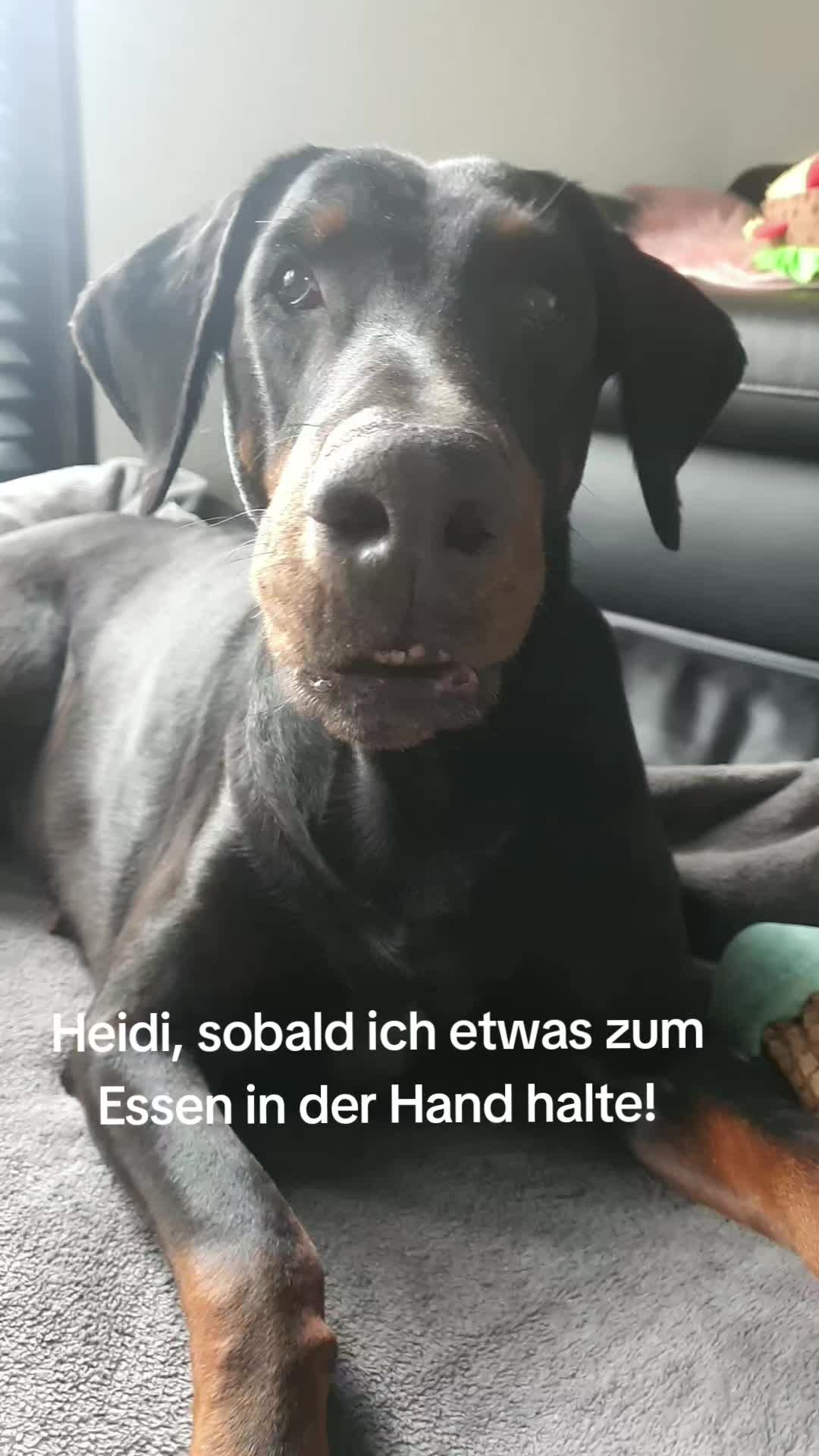 @Angelika Schaefer