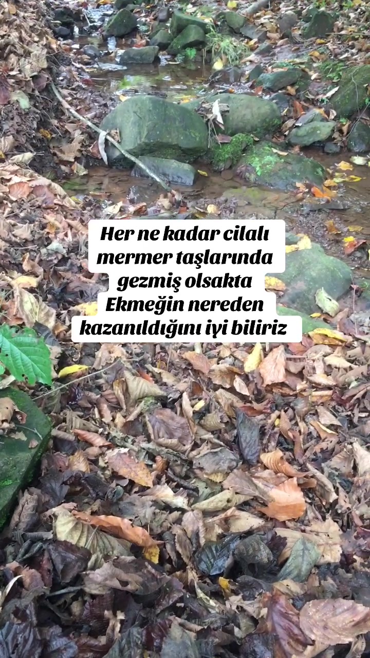 @👑🇹🇷G&uuml;lden Ser&ccedil;e🇹🇷👑