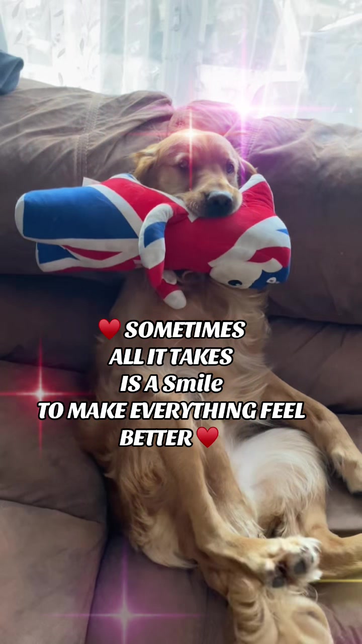 @Happy buddy