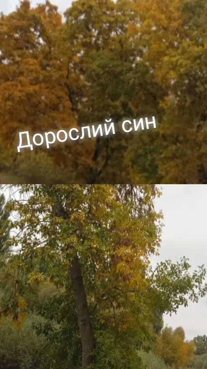 @Життєві історії