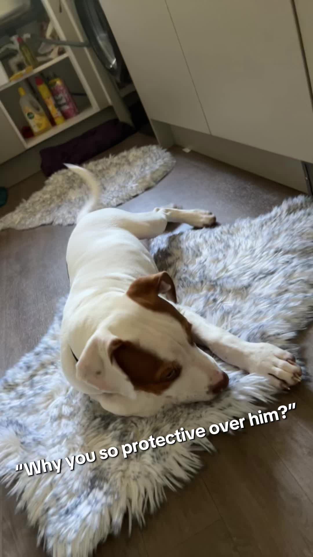 @A.