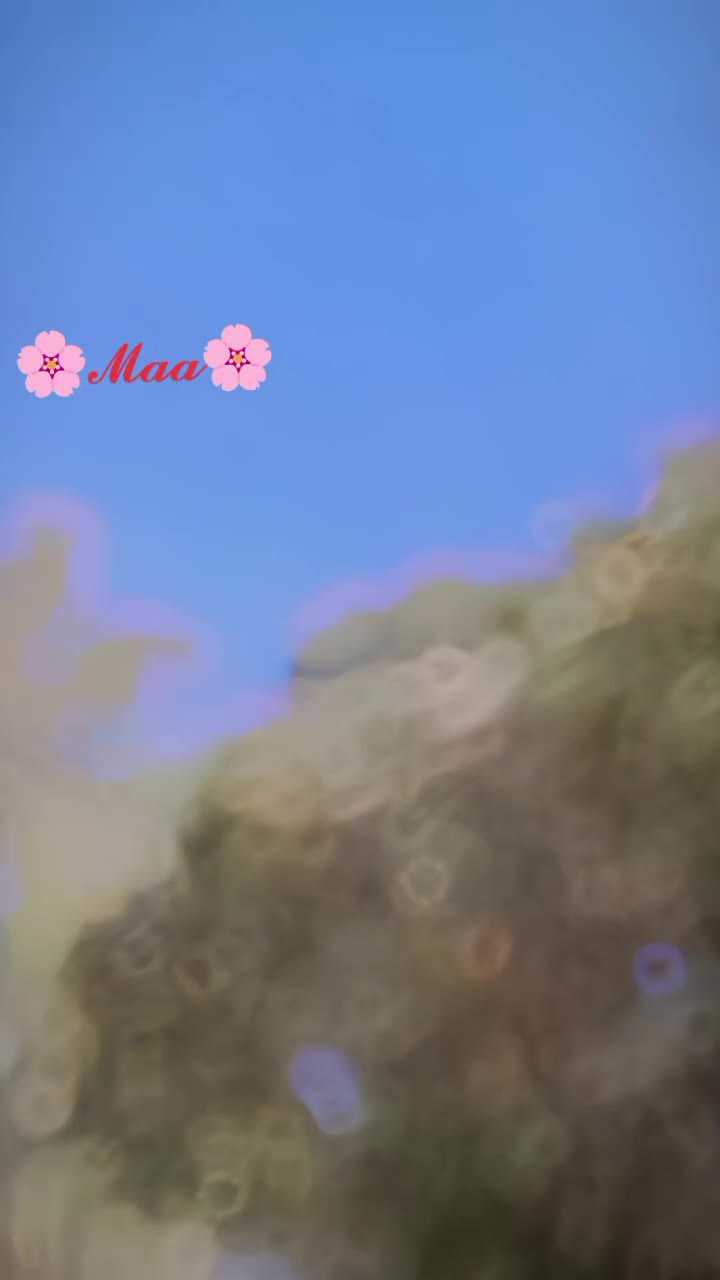 @✿♡🅰🅼𝟏♡✿