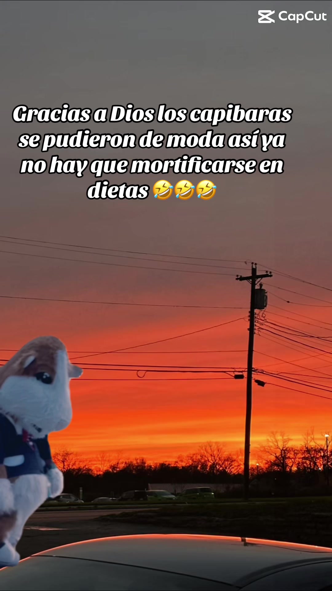 @Colochita 🥰🥰❤️❤️