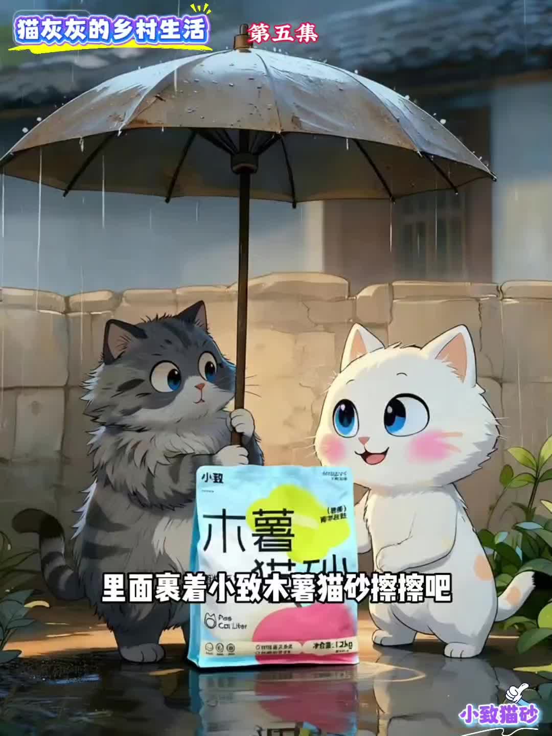 @小致猫砂国内外招代理商