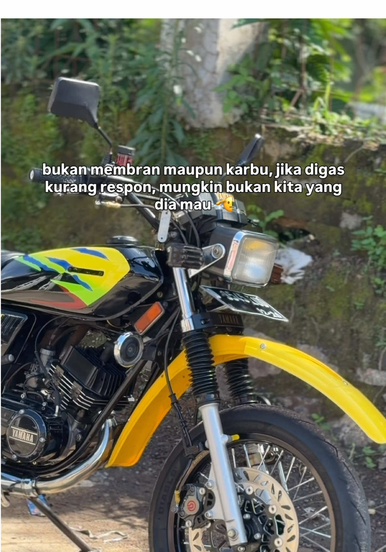 @Misterijokbelakang135