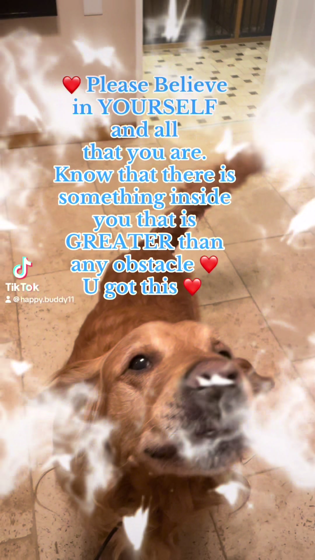 @Happy buddy