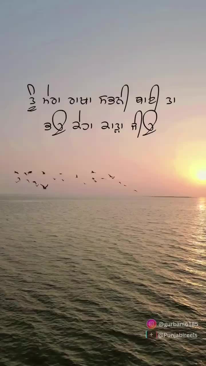 @Punjabireels