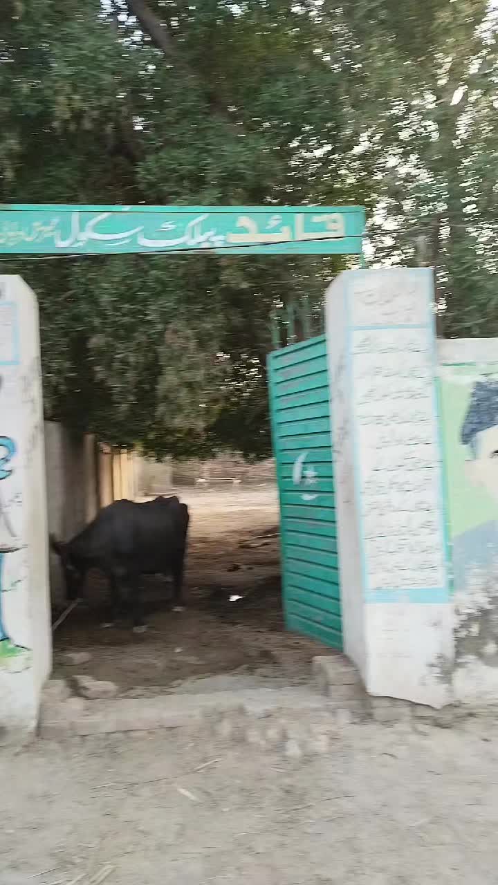 @NعMAن CHAUدHAرY