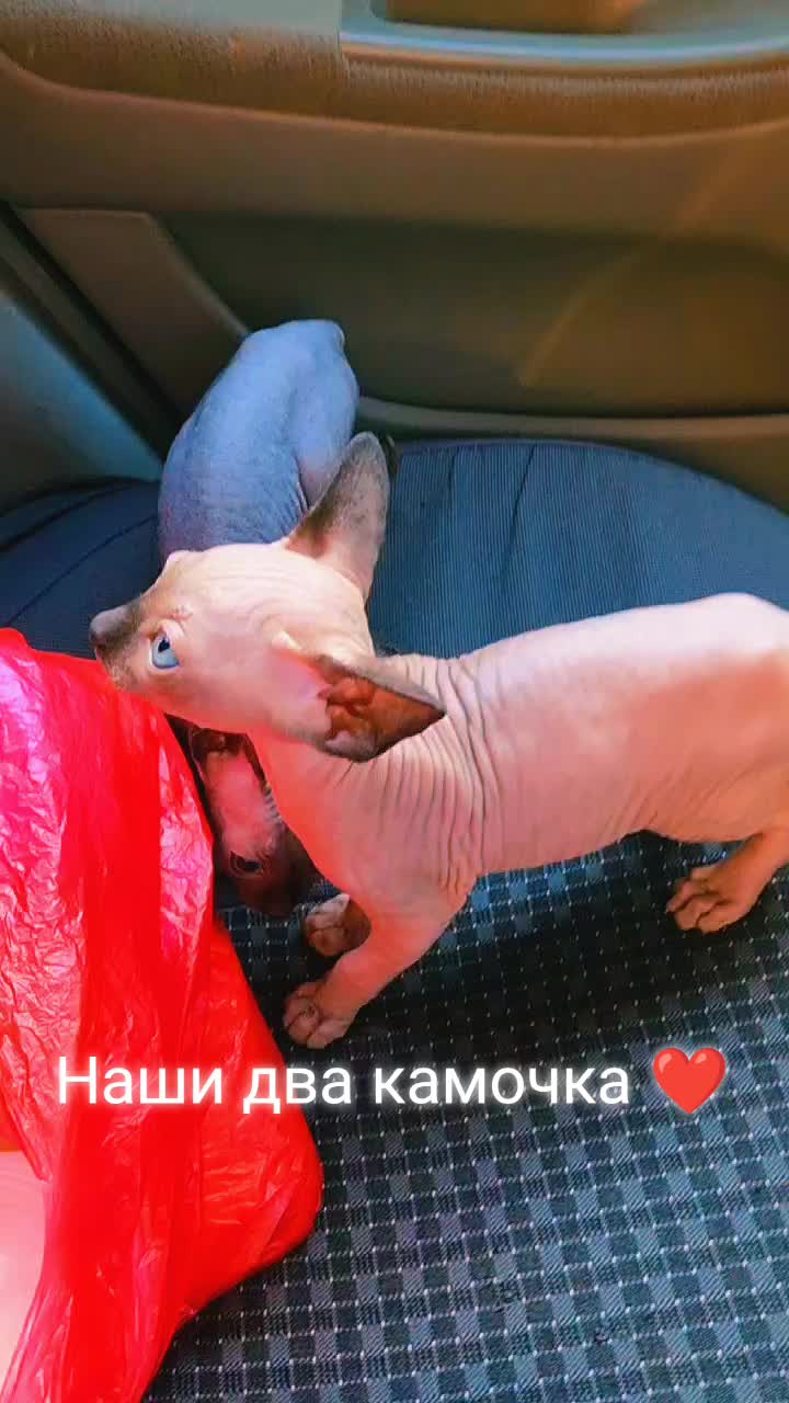 @zoloto_juliya