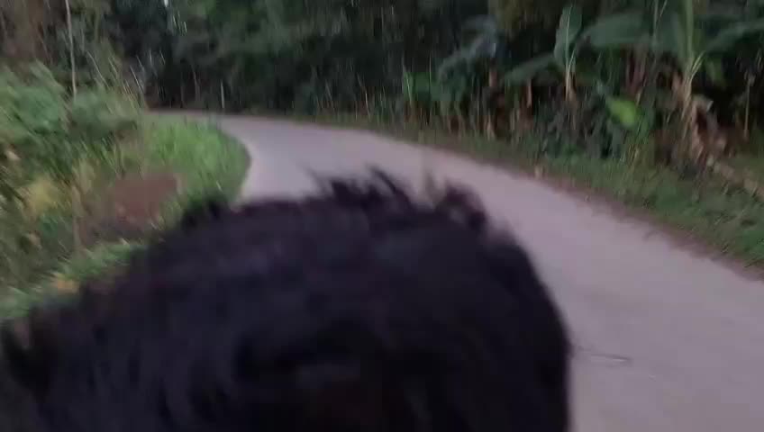 @চিংগাম 🕴️😁