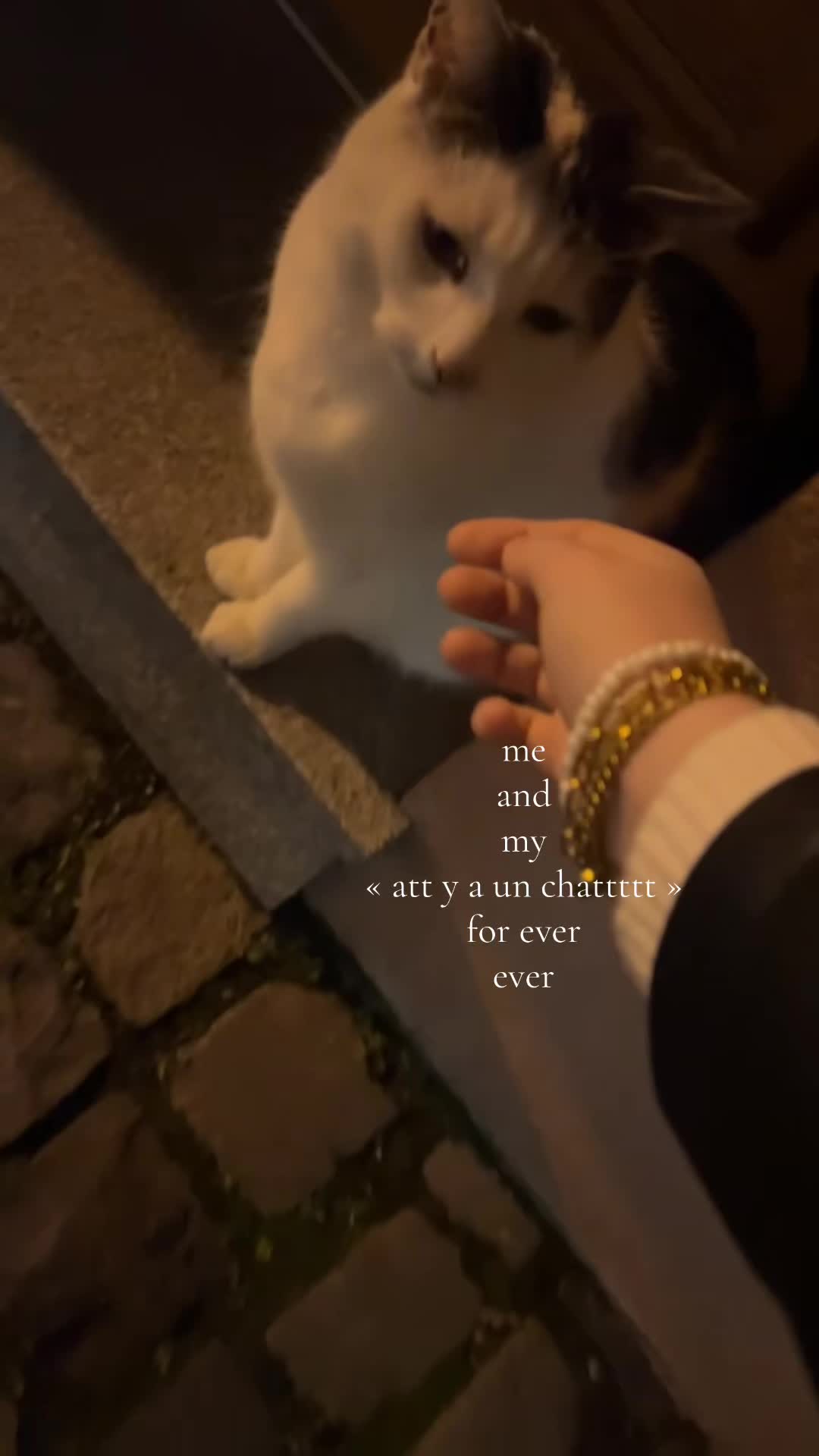@J&rsquo;🦊
