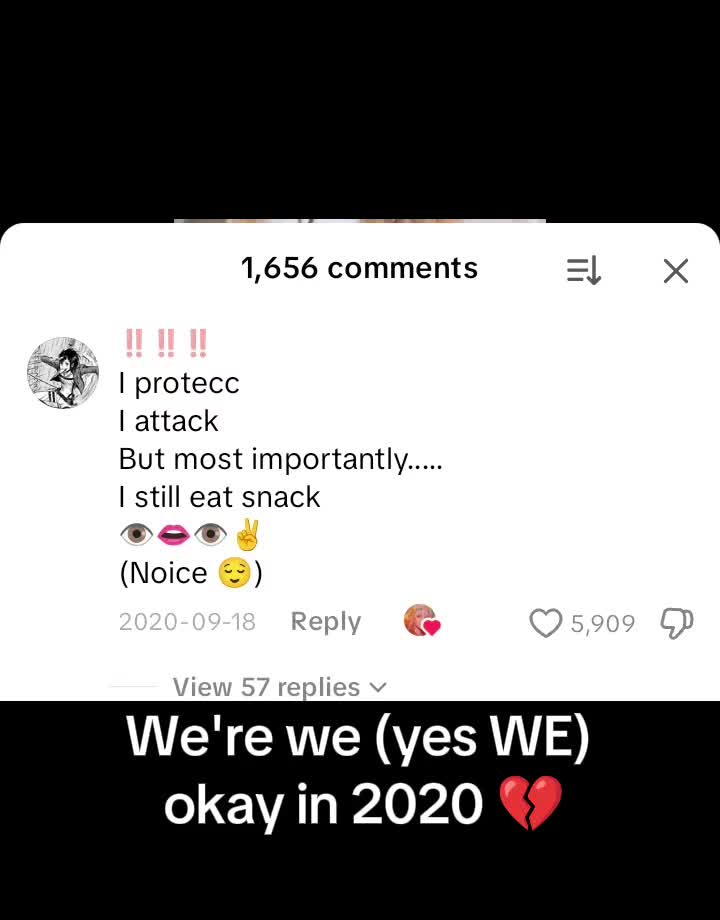@▼・ᴥ・▼