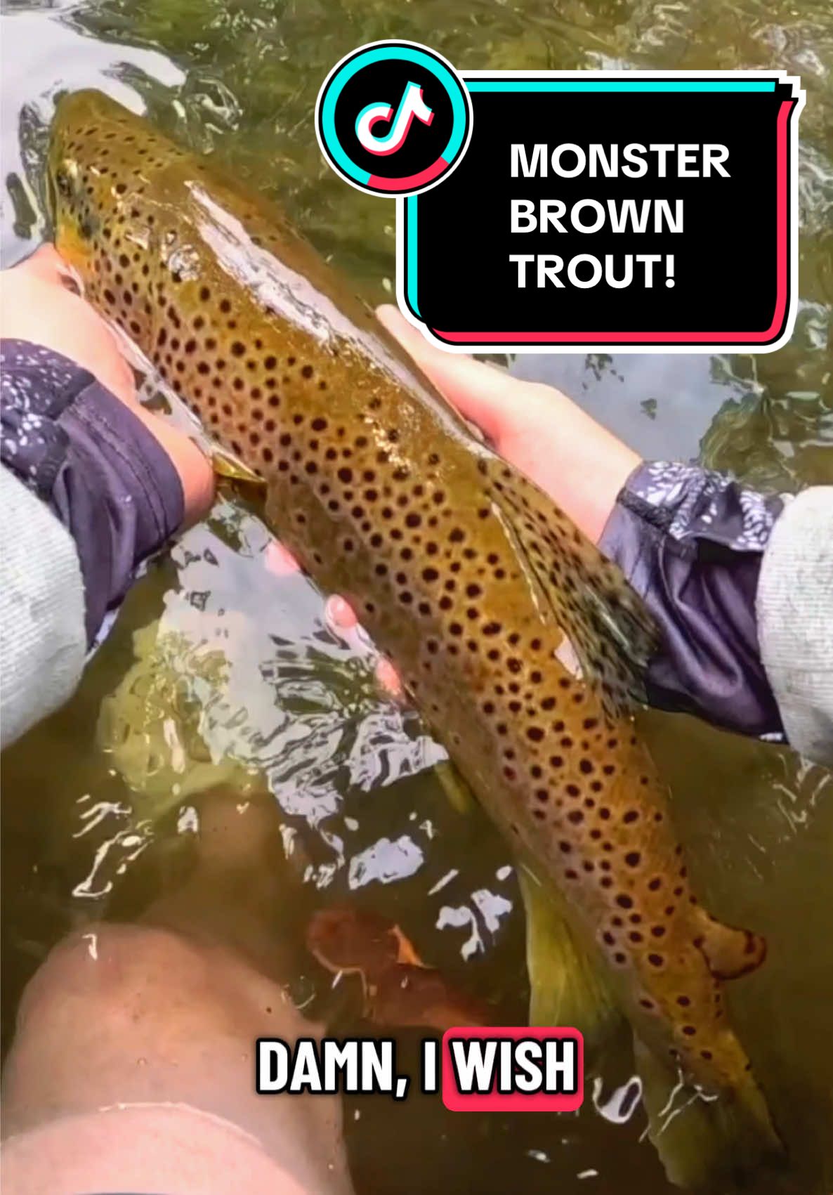 @Rod N Hand Fishing
