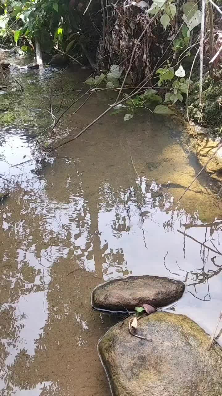 @kekasih bayangan