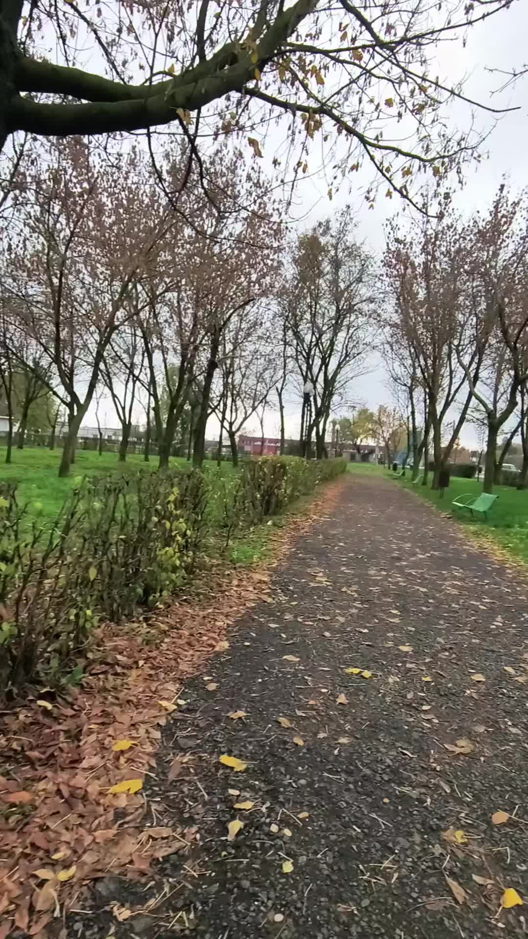 @sanjogkhawas