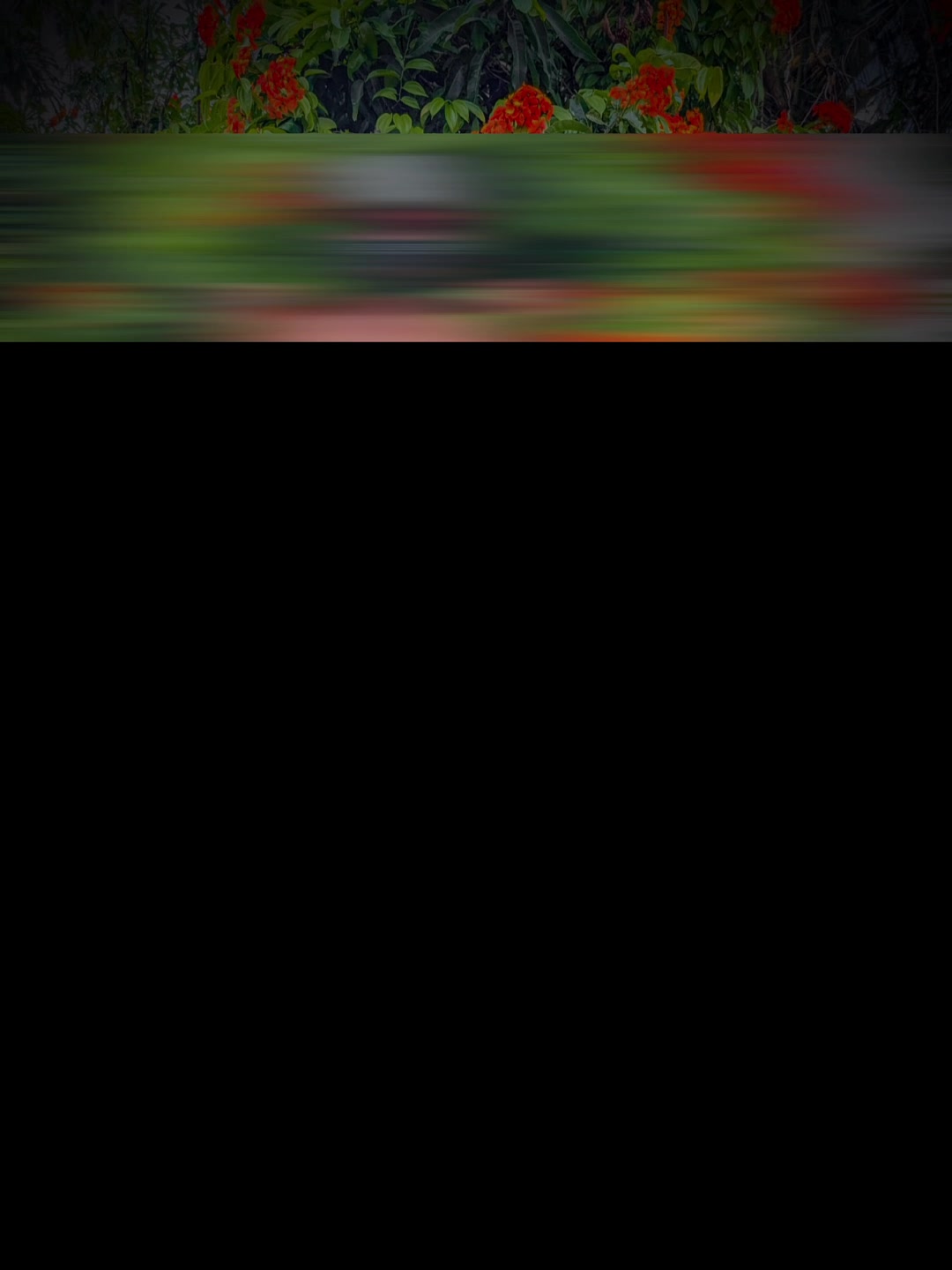 @𝙂𝘼𝙇𝙀 🪽